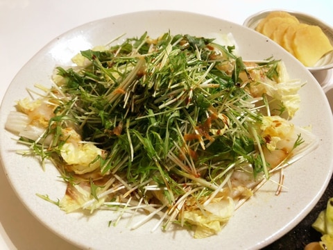 白菜と水菜の和風サラダ